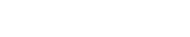 Syntech Biofuel
